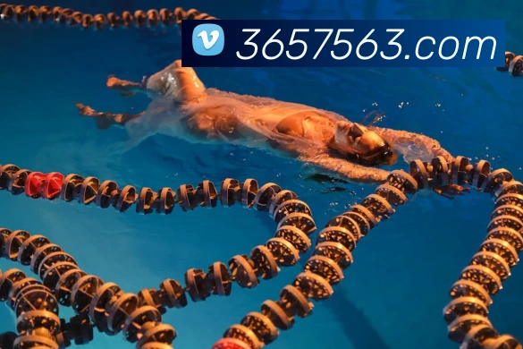 365bet官网平台生态图